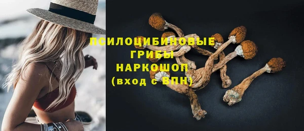 сатива Заволжье