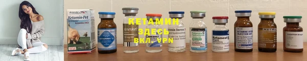 крисы Снежногорск