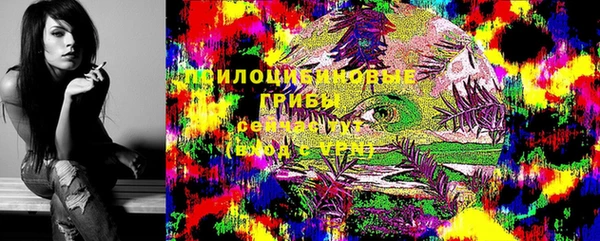 ECSTASY Заволжск
