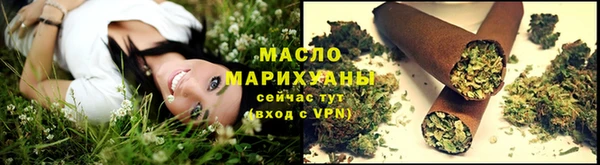 сатива Заволжье