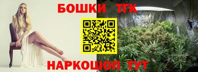 тгк Гай