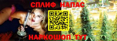 тгк Гай