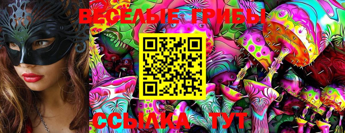 Галлюциногенные грибы Psilocybine cubensis  купить   Пенза  Вход с VPN 