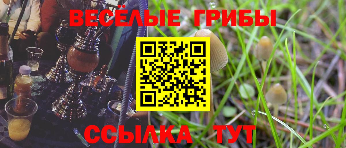 купить наркотик  Пенза  Псилоцибиновые грибы прущие грибы 