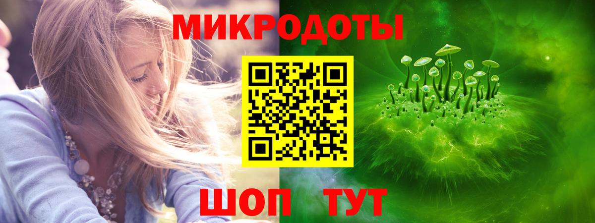 Псилоцибиновые грибы мицелий Пенза